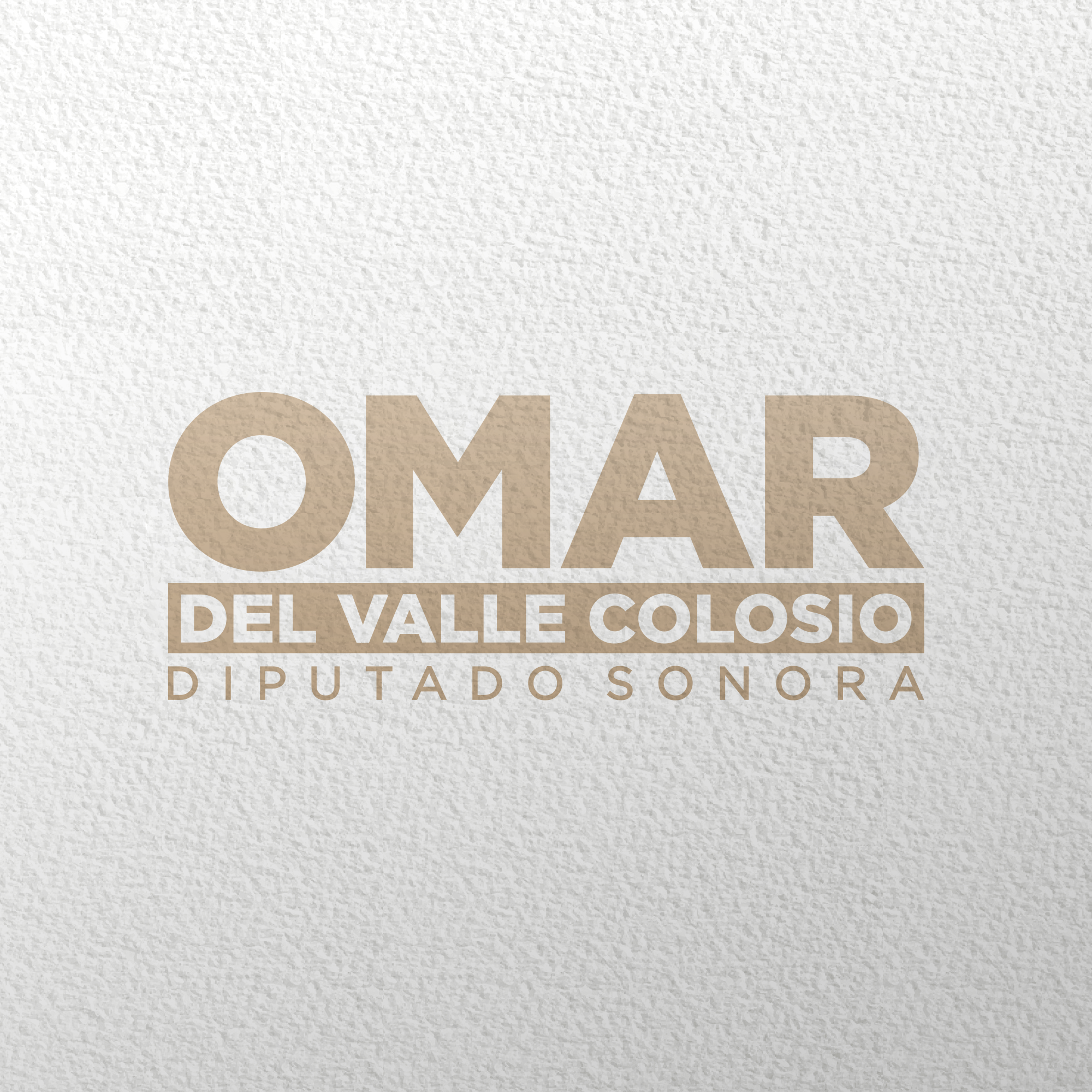 Diseño logotipo Dip. Omar Del Valle Colosio